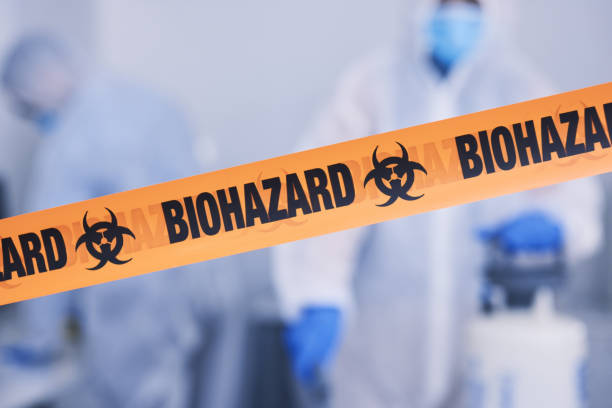 Professional Odor Removal technician working in New Suffolk, NY